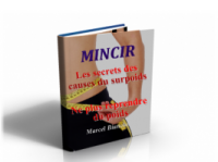 MINCIR