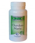 chardon-marie