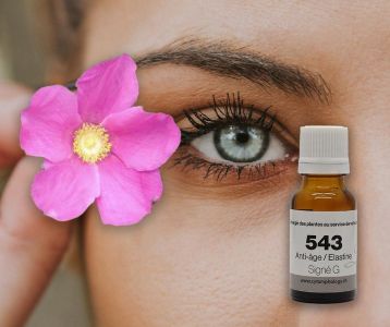 SG 543 RAJEUNISSEMENT SOUPLESSE DU DERME à la rose Musquée du CHILI - 15 ml