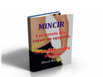 MINCIR___Les_sec_4a07c59ad1af5.png