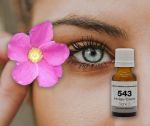 SG 543 RAJEUNISSEMENT SOUPLESSE DU DERME à la rose Musquée du CHILI - 15 ml