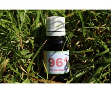 961 Hypersensibilité (angoisses et peurs) pour les animaux