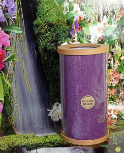 Structwater : structure votre eau - Violet - Thot